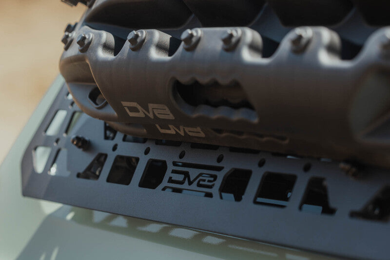 Photo - Close Up