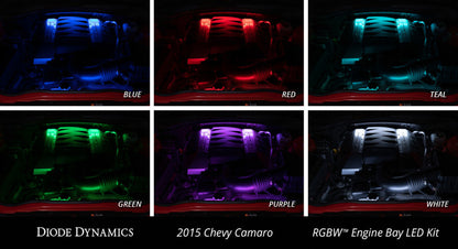 Diode Dynamics RGBW Engine Bay Strip Kit 2pc Multicolor