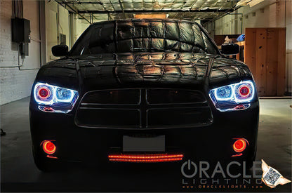 Oracle 11-12 Dodge Charger LED Fog Light Halo Kit - Red