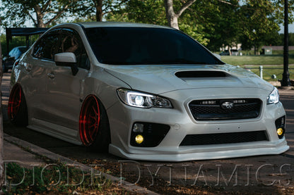 Diode Dynamics 15-21 Subaru WRX/STi C-Light Switchback LED Boards