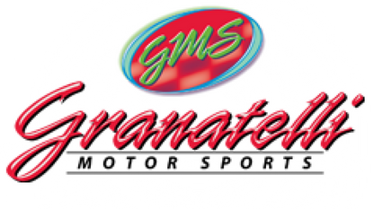 Granatelli Buck Century 6Cyl 3.8L MPG Plus Ignition Wires