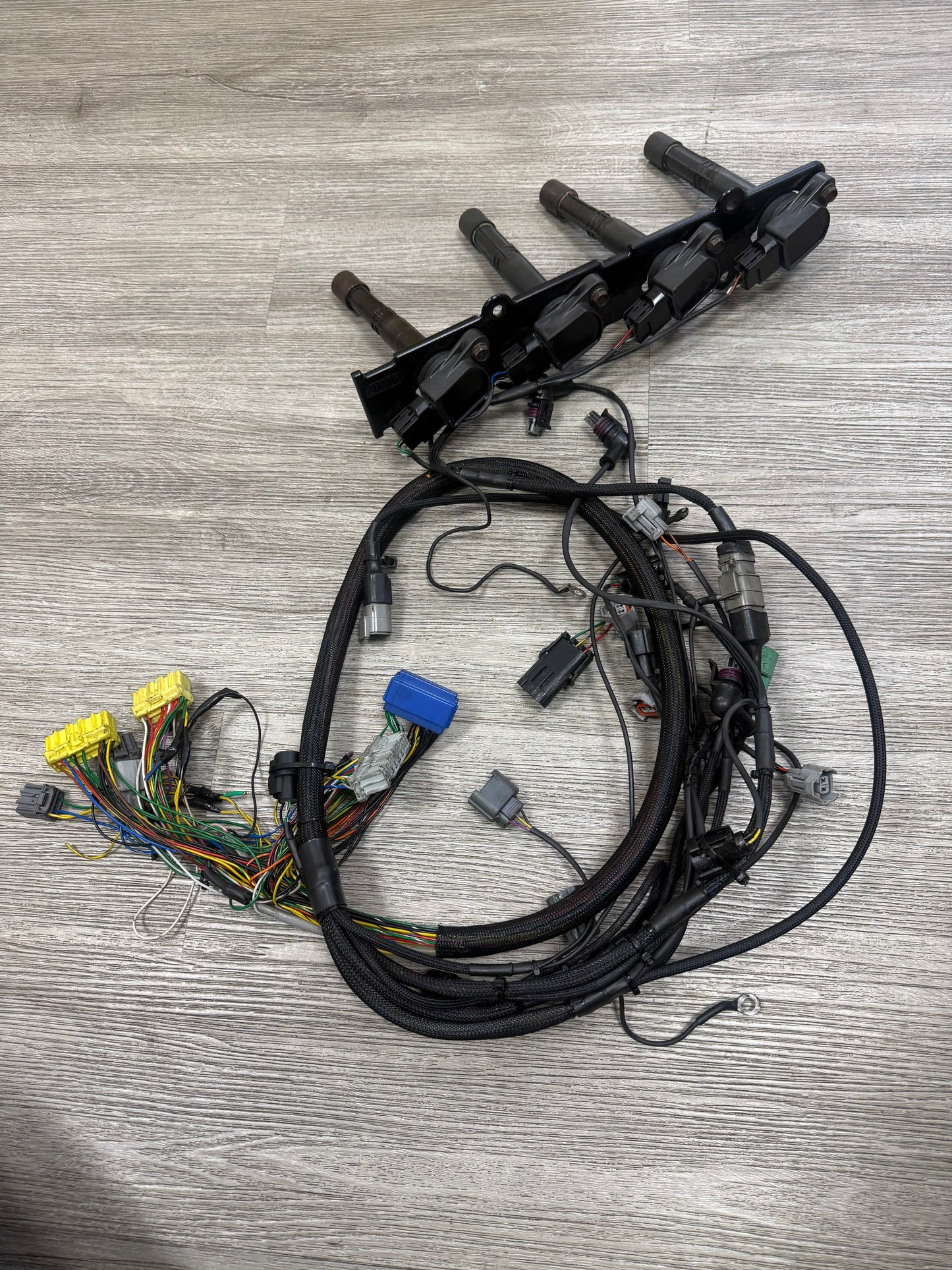 Tsm Used Parts Collection - Custom B-series Engine Harness W/ Coil On Plug Kit and Harness