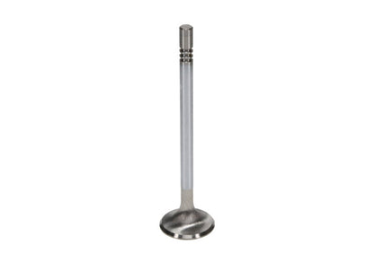 Manley Ford Modular Coyote 5.0L Gen III Race Master Series Exhaust Valve - 1.260in Dia