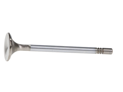 Manley Ford GT350 Voodoo 5.2L Race Master Series Exhaust Valve Set - 1.280in Dia