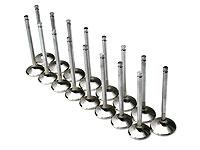 Brian Crower Nissan TB48 39.5mm Intake Valves