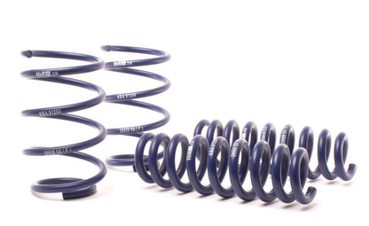 H&amp;R 13-15 BMW X1 sDrive28i E84 Sport Spring (2WD Only)
