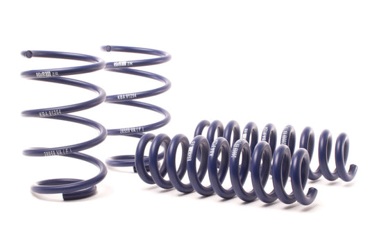 H&amp;R 13-15 BMW X1 sDrive28i E84 Sport Spring (2WD Only)