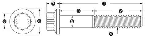 ARP - 5/16-24 x .75in Length 12pt SS Bolts (5/pkg)