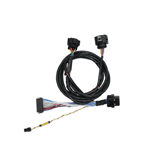 FuelTech - FT350 TO FT450 ADAPTER HARNESS W/ NANO