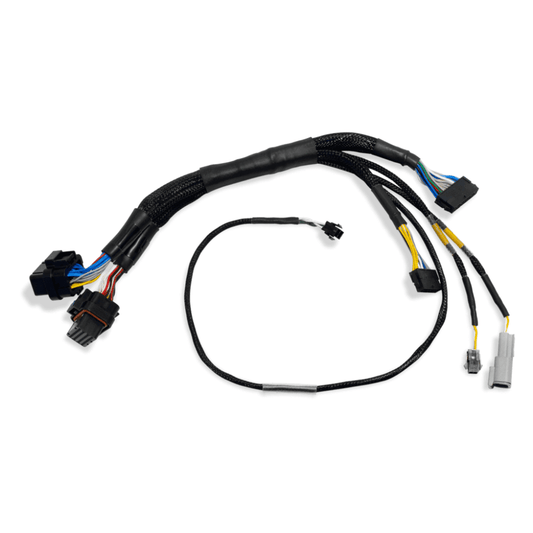 FuelTech - FT500 TO FT600 ADAPTER HARNESS